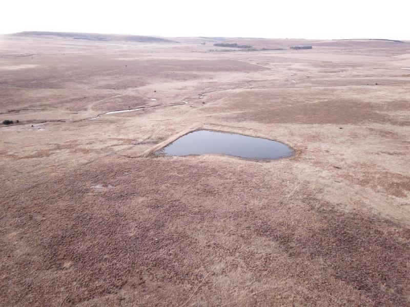 0 Bedroom Property for Sale in Warden Free State